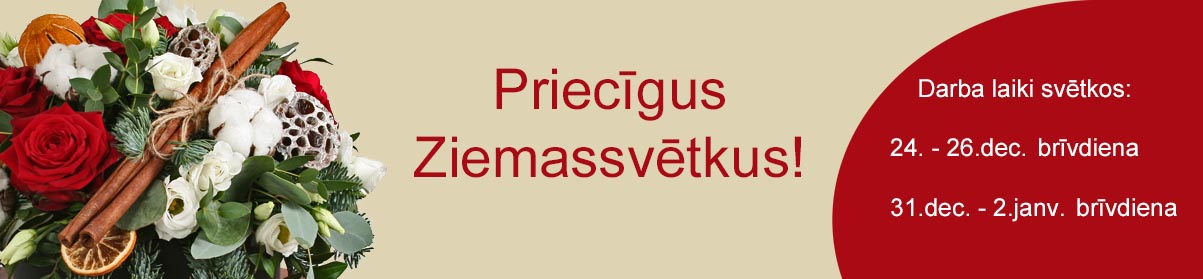 Priecīgus Ziemassvētkus!