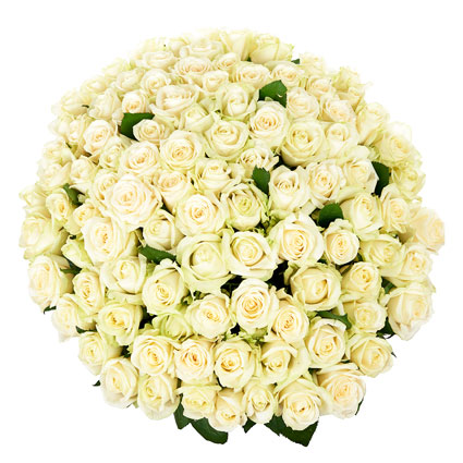 Flowers delivery. Impressive bouquet of 101 white roses. Rose stem length 60 cm.