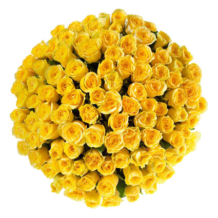 Доставка цветов. Впечатляющий  букет из 101 жёлтой розы. Длина роз 60 см.
