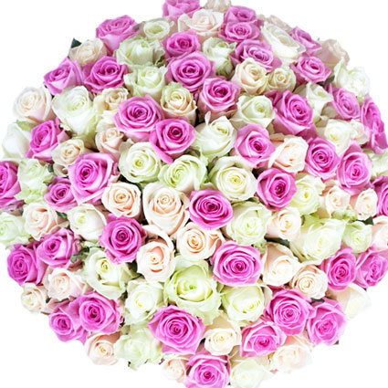 Ziedi ar kurjeru. Ziedu pušķī 101 roze - rozā, baltas un krēmkrāsas. Rožu garums 60 cm.

Ziedu klāsts ir ļoti plašs.