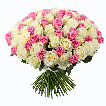 Ziedi ar piegādi. Ziedu pušķī 101 rozā un balta roze. Rožu garums 60 cm.

Ziedu klāsts ir ļoti plašs