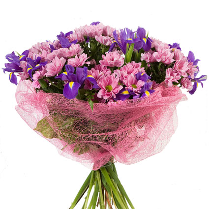 Flowers on-line. Bouquet of pink chrysanthemums, blue irises and decorative foliage  wrapped in pink decorative material.