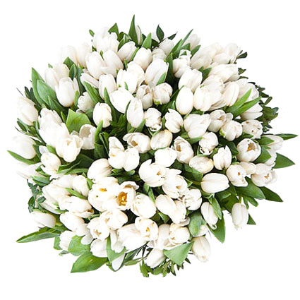 Premium ziedu piegāde Rīgā un Latvijā, Pavasara ziedi, pušķis no 101 baltas tulpes