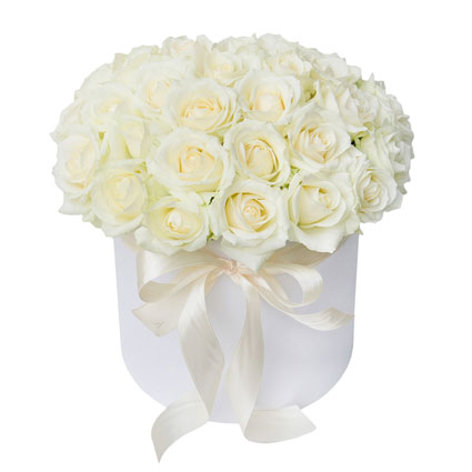 Ziedu piegāde - balta ziedu kārba ar lenti un 35 baltas rozes