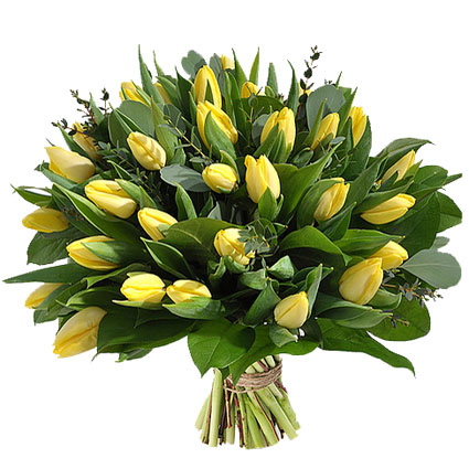 Flower delivery Latvia. The sunny flower bouquet of 29 yellow tulips with refreshing accents of eucalyptus foliage.