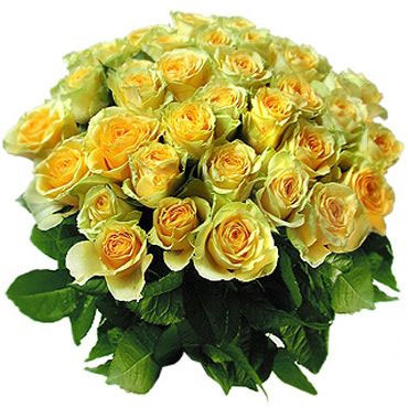 Flowers. Bouquet if 15 or 29 yellow roses.
