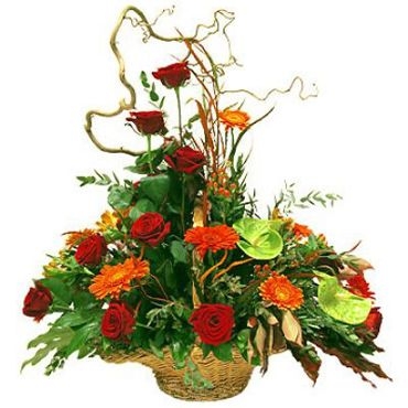 Ziedu piegāde Rīgā. Ziedu kompozīcijas sastāvs: zaļas antūrijas, sarkanas rozes, sarkanas gerberas, dzeltenas frēzijas,