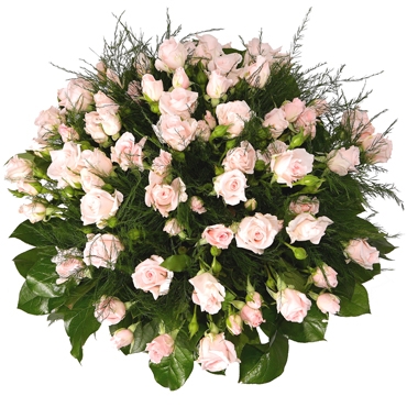 Ziedu piegāde. Rožu pušķis no 19 vai 29 rozā krūmrozēm un dekoratīviem zaļumiem.