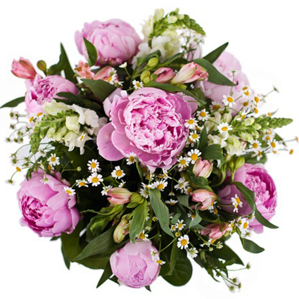 Flowers in Riga. Romantic bouquet of pink peonies, pink alstroemerias, white snapdragon, baby breath and decorative foliage.
