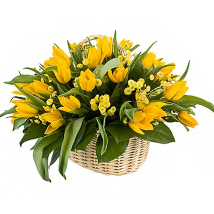 Ziedi un to piegāde. Dzeltenu tulpju un dzeltenu smalkziedu kompozīcija grozā.

Ziedu klāsts ir ļoti plašs.