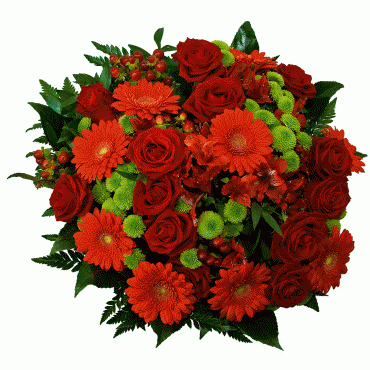 Ziedu piegāde Rīgā. Krāšņs ziedu pušķis sarkanos un zaļos toņos.
Pušķa sastāvs: sarkanas rozes, sarkanas gerberas, sarkanas