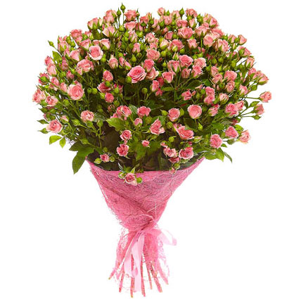 Ziedi ar kurjeru. Pušķis no 17 vai 25 rozā krūmrozēm dekoratīvā saiņojumā.

Ziedu klāsts ir ļoti plašs.