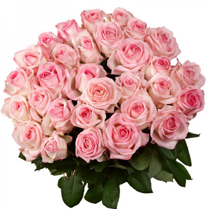 Maigi rozā rozes. Ziedu pušķī 30 rozes.