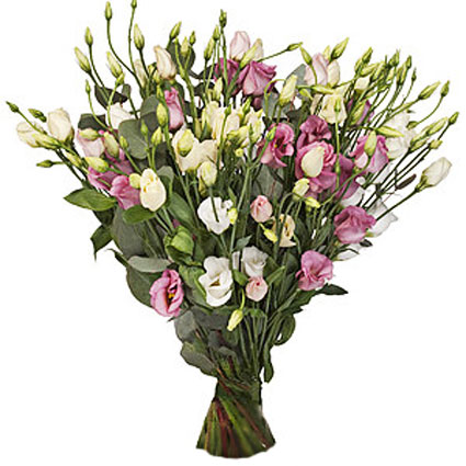 Flower delivery in Riga. Bouquet of 15 pink and white lisianthus.