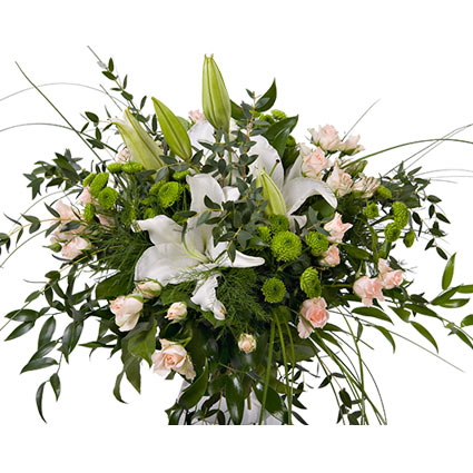 Ziedu piegāde Latvijā. Baltas lilijas, rozā krūmrozes, zaļas krizantēmas un dekoratīvie zaļumi