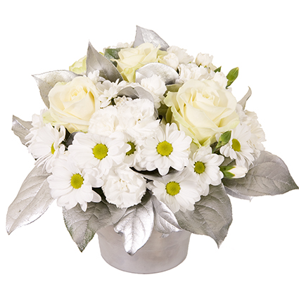 Ziedi. Ziedu kompozīcija svētku noskaņās no baltām rozēm, baltām smalkneļķēm, baltām krizantēmām un dekoratīviem zaļumiem.