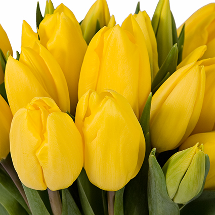 Flowers on-line. Collect Your own bouquet! Price is indicated for one tulip.