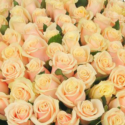 Flowers delivery. Collect Your own bouquet! Roses about 70-80 cm high. Price is indicated for one rose.