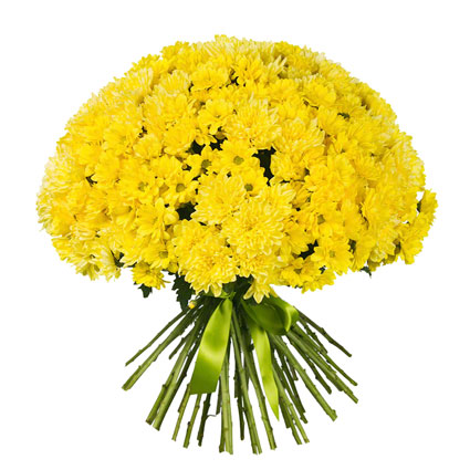 Ziedu piegāde Latvijā. Apjomīgs ziedu pušķis no 45 dzeltenām krizantēmām.
 Ziedu klāsts ir ļoti plašs. Var gadīties, ka