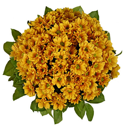 Ziedu piegāde. Ziedu pušķis no 25 oranži dzeltenām krizantēmām.
 Ziedu klāsts ir ļoti plašs. Var gadīties, ka izvēlētie