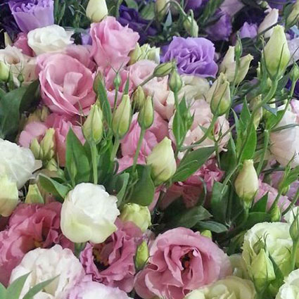 Flowers delivery. Collect Your own bouquet! Price is indicated for one lisianthus.