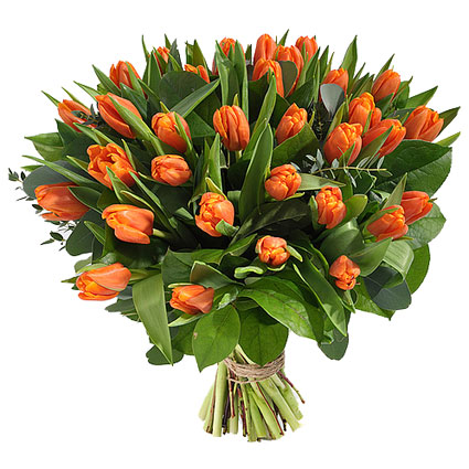 Flowers delivery Riga, the voluminous and bright flower bouquet of 35 orange tulips with refreshing accents of eucalyptus foliage