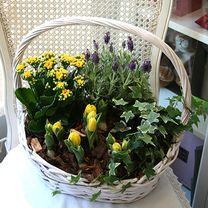 Flower delivery. Arrangement of yellow spring flowers in white decorative basket.