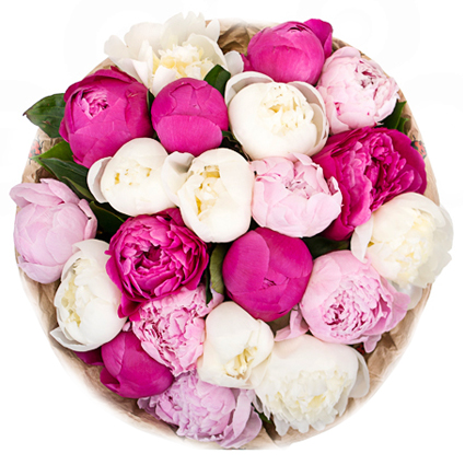 Flowers delivery. Bouquet of 21 multicolored peonies.
