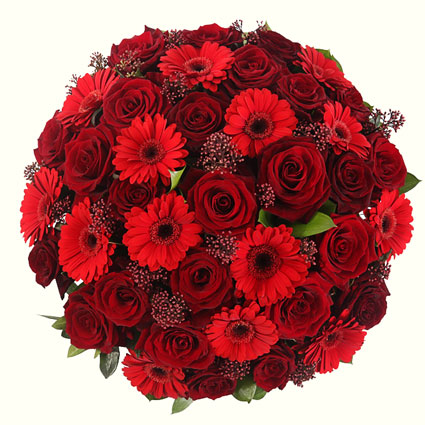 Ziedu piegāde Rīgā - ekspresīvs ziedu pušķis no sarkanām rozēm, sarkanām gerberām un dekoratīviem sezonas zaļumiem