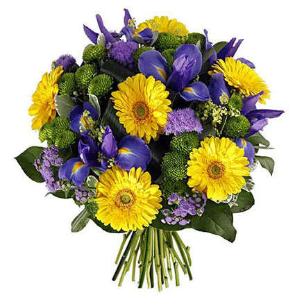 Flowers delivery. Bouquet of yellow gerberas, blue irises, green chrysanthemums, fine decorative flowers and seasonal