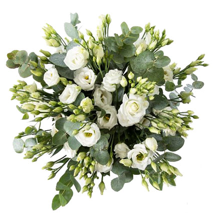Ziedu pušķī 15 baltas lizantes un dekoratīvi eikalipta zaļumi. Ziedu piegāde Rīgā.
