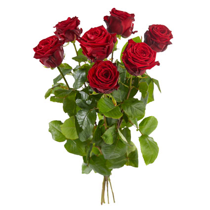 Buy roses in Riga. Seven red roses with delivery today