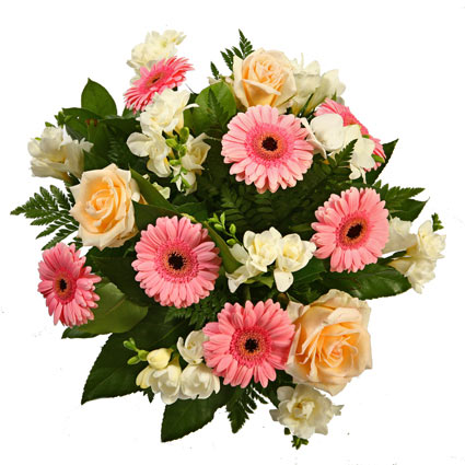 Flowers. Positive flower bouquet of cheerfully pink gerberas, sparkling white freesias, cozy creamy roses.