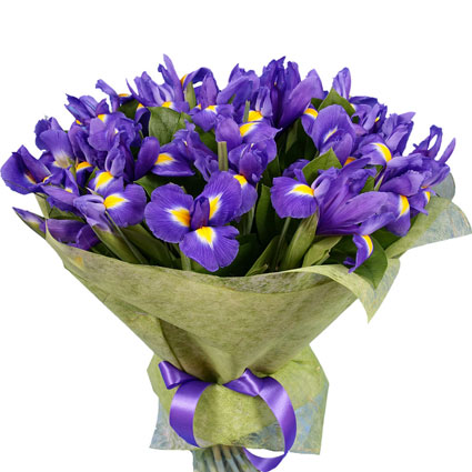 Flower delivery. A beautiful bouquet of 35 blue irises.