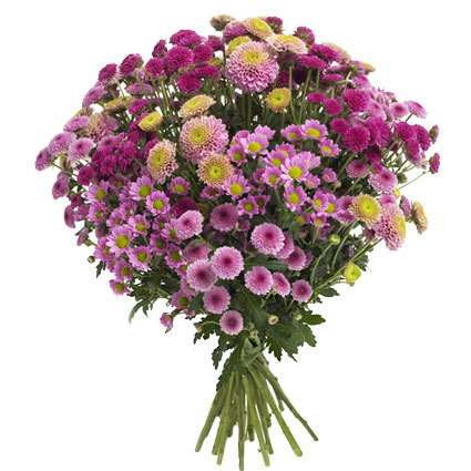 Цветы и доставка. Букет создан из 19 кустовых хризантем различных фиолетово-розовы
