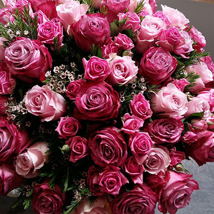Bouquet of pink roses with white delicate flowers
