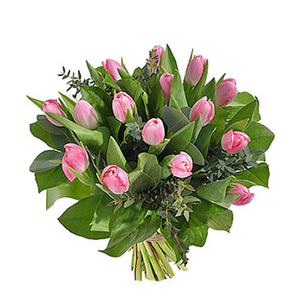 15 pink tulips