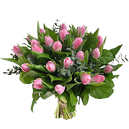 Ziedi ar kurjeru. Ziedu pušķī 21 rozā tulpe ar atsvaidzinošiem eikalipta zaļumu akcentiem.