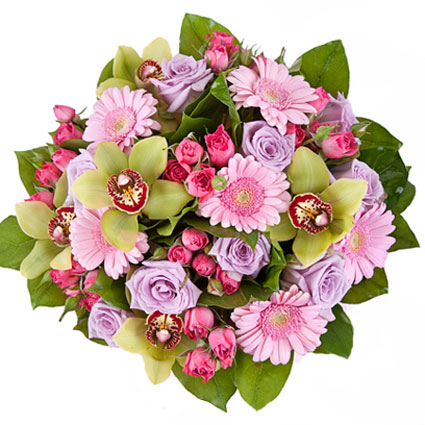 Ziedu veikals. Ekstravagants pušķis no violetām rozēm, rozā gerberām, rozā krūmrozēm un zaļiem orhidejas ziediem.

Ziedi
