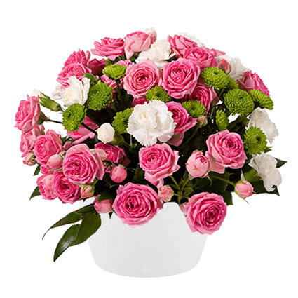 Ziedi Latvijā. Ziedu kompozīcija baltā keramikas traukā no rozā krūmrozēm, baltiem smalkziediem, zaļām Santini krizantēmām,