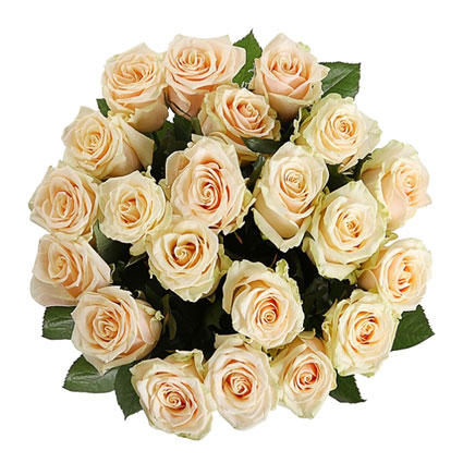 Kremkrāsas rožu pušķis - 21 vidēja garuma roze, ziedu piegāde