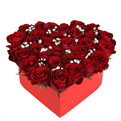Arrangement of  31 red roses with white delicate gipsophila  in a heart-shaped box - excellent gift for Valentines Day