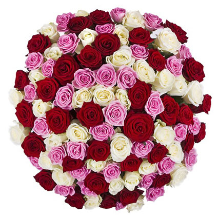Flowers. Gorgeous colorful bouquet of 101 or 51 red, pink and white roses. Rose stem lenght 60 cm.