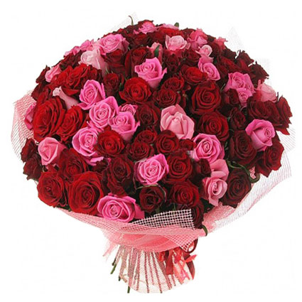 The best premium class flowers with delivery in Riga. Bouquet of 101 red and pink roses.