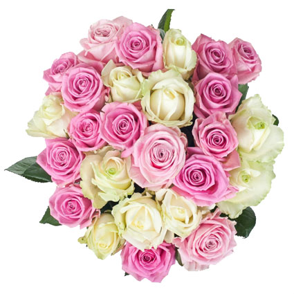 Ziedu piegāde Latvijā. Ziedu pušķis no 25 baltām un rozā rozēm. Rožu garums 60 cm.
 Ziedu klāsts ir ļoti plašs. Var