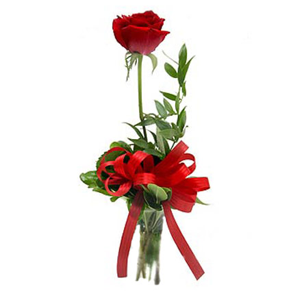 Цветы он-лайн. Красная роза с декоратвной зеленью. Длина розы 60 см.