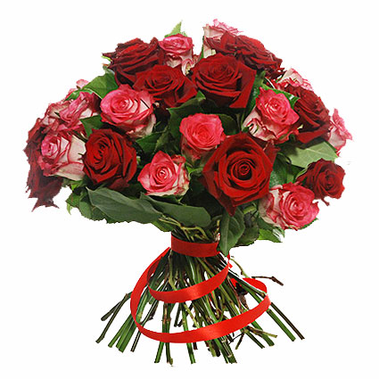 Grezns sarkanu un rozā rožu pušķis ar sarkanu lentu. Pušķī 25 vidēja garuma rozes