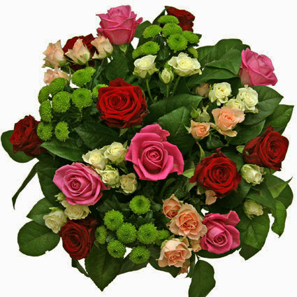 Ziedi. Raibs ziedu pušķis no sarkanām un rozā rozēm ,rozā un baltām krūmrozēm, zaļām krizantēmām un dekoratīviem