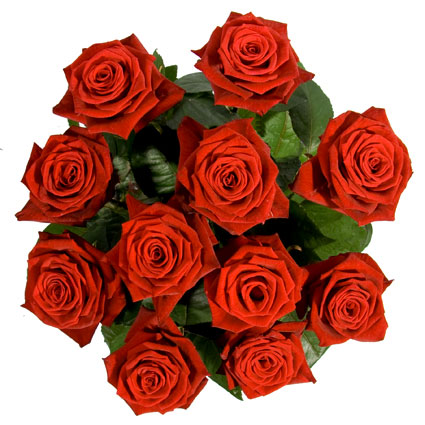 Розы с доставкой из цветочного магазина. Букет красных роз