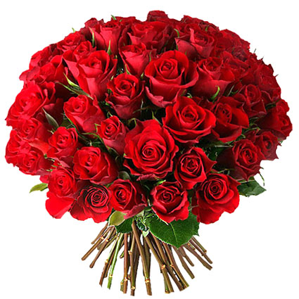 Ziedi Rīga. Rožu pušķis no 45 vai 25 sarkanām vidēja garuma rozēm.